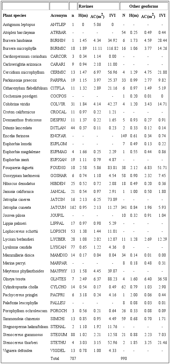 Number of individuals (n), average height (H), average aerial cover (AC) and importance value index (IVI) of the most important plant species recorded in the different geoforms in the Monserrat Island, Gulf of California, Mexico.