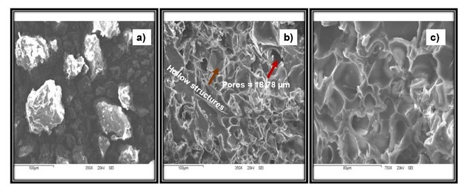 Micrografías SEM de los materiales evaluados: (a) polvo de gluten de trigo (wg), (b y c) superficie del polvo del SLIP