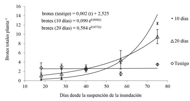 Formación de brotes luego del anegamiento. Número de brotes por planta luego de suspendidos los tratamientos: testigo; 10 y 4 20 días de inundado