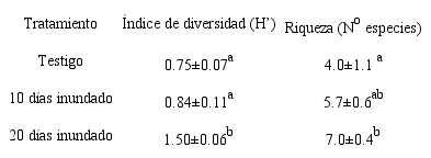 Diversidad y riqueza de las comunidades de malezas 75 días de suspendida la inundación