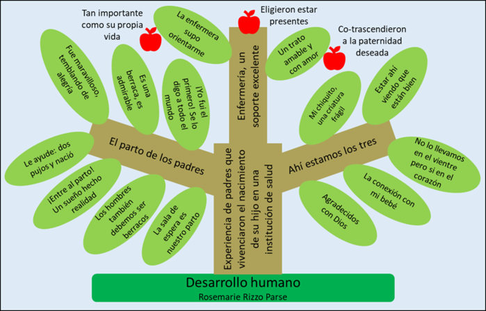 Temas emergentes de la investigación Experiencia de padres
								que vivenciaron el nacimiento de su hijo en una institución de
								salud