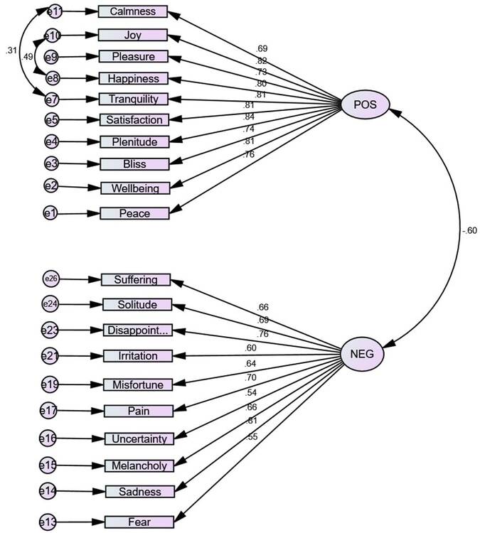 Two-factor structure for the Positive Affect/Negative Affect
							Scale