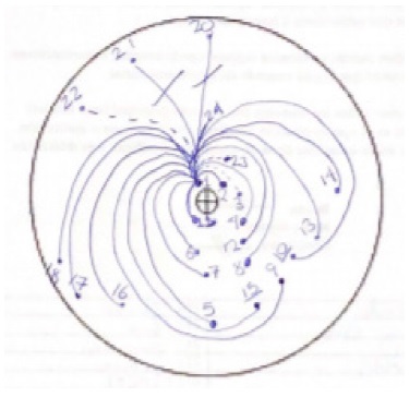 Espacio vital de la familia, P7, Grupo 1