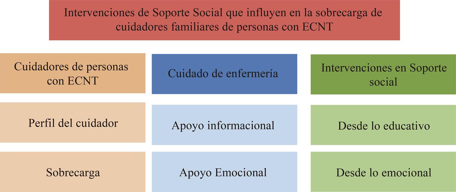 Categorías de intervenciones en Soporte Social