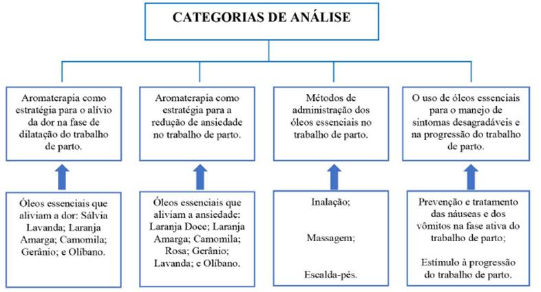 Categorias de análise do estudo