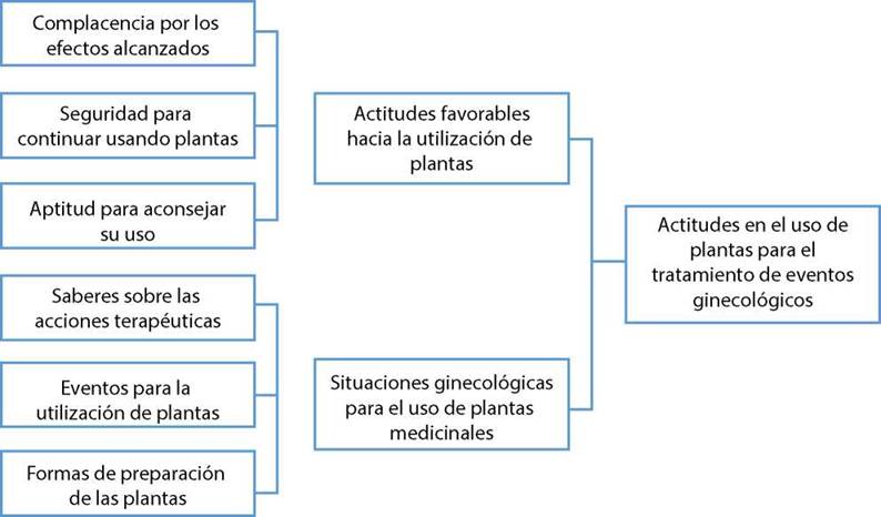 Árbol de categorías obtenidas en el estudio.