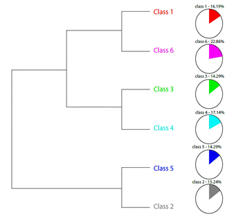 Descending Hierarchical Classification Dendrogram