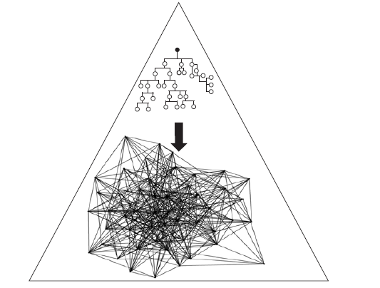 Regímenes políticos imponiendo orden por medio de
control jerárquico sobre los Sistemas Sociales Humanos