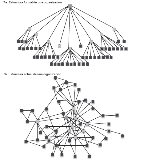 Diferencia entre la estructura de una organización y su
funcionamiento