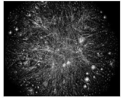 Estructuras de red compleja