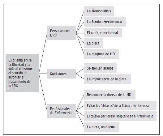 Subtemas emergentes organizados en los grupos de personas con ERC, cuidadores y Profesionales de Enfermer&iacute;a.
