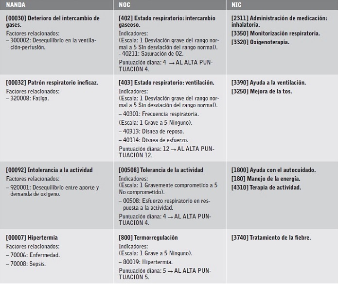 Diagn&oacute;sticos (NANDA), resultados (NOC) e intervenciones (NIC).