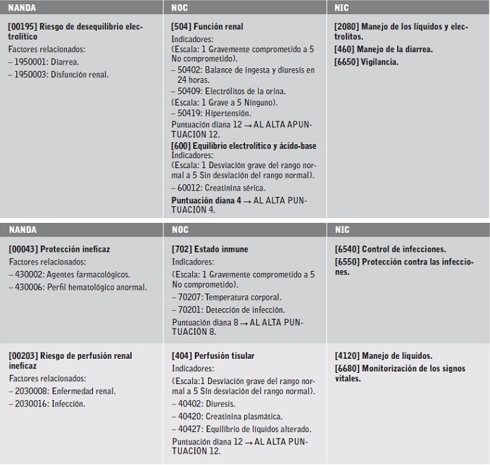 Diagn&oacute;sticos (NANDA), resultados (NOC) e intervenciones (NIC).