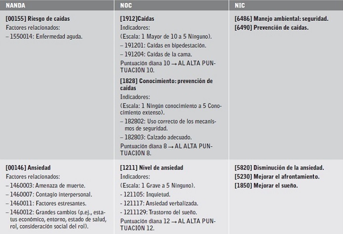Diagn&oacute;sticos (NANDA), resultados (NOC) e intervenciones (NIC).