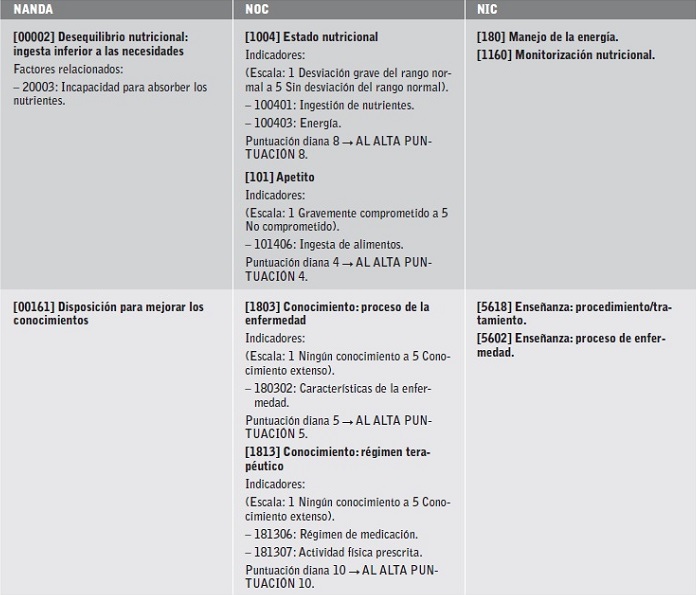 Diagn&oacute;sticos (NANDA), resultados (NOC) e intervenciones (NIC).