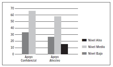 Niveles de apoyo social funcional.