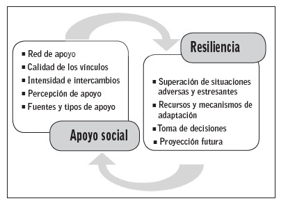 Indicadores cualitativos de an&aacute;lisis de los datos.