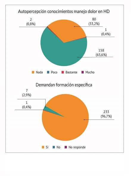 Percepci&oacute;n sobre el nivel de conocimientos y necesidad de formaci&oacute;n espec&iacute;fica en manejo del dolor en hemodi&aacute;lisis por la enfermer&iacute;a nefrol&oacute;gica.