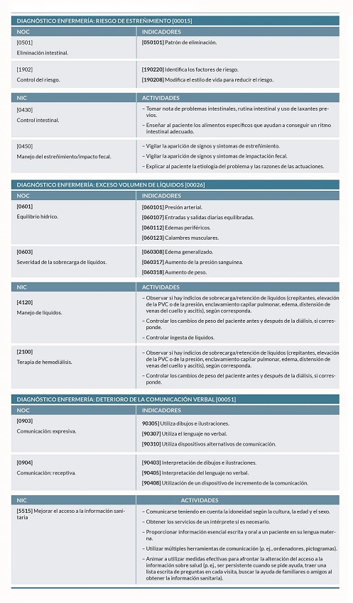 Plan de cuidados para los diagn&oacute;sticos enfermeros identificados.