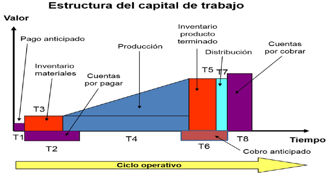 Estructura del capital de trabajo