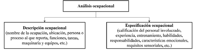 Descomposición del análisis ocupacional.