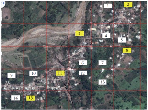 Cuadrantes seleccionados (en amarillo) al azar de la localidad de Oztocingo, Guerrero.