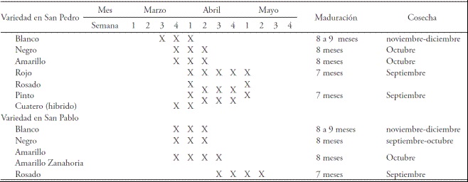 Fechas de siembra y tiempo de maduraci&oacute;n por variedad en los ejidos de San Pedro el Alto y San Pablo Tlalchichilpa.