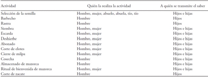 Transmisi&oacute;n del saber local.