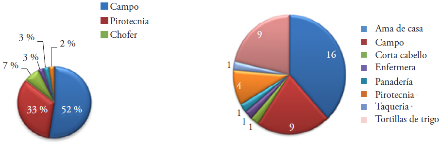 Ocupaci&oacute;n de los padres de los Chispitas