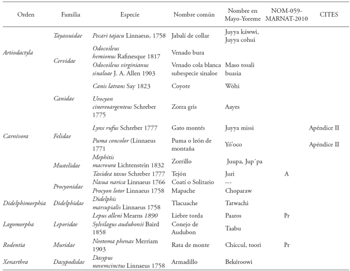 Especies de mamíferos aprovechadas por cazadores de 11 comunidades mayo-Yoreme del municipio de El Fuerte, Sinaloa (Con información de Cortés-Gregorio et al., 2013).