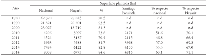 Comportamiento de la producci&oacute;n tabacalera en el estado de Nayarit.