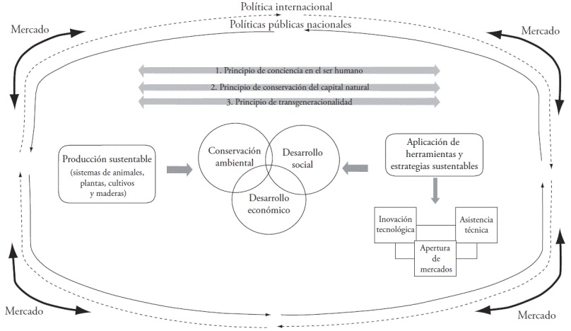 Modelo hacia negocios rurales sustentables.