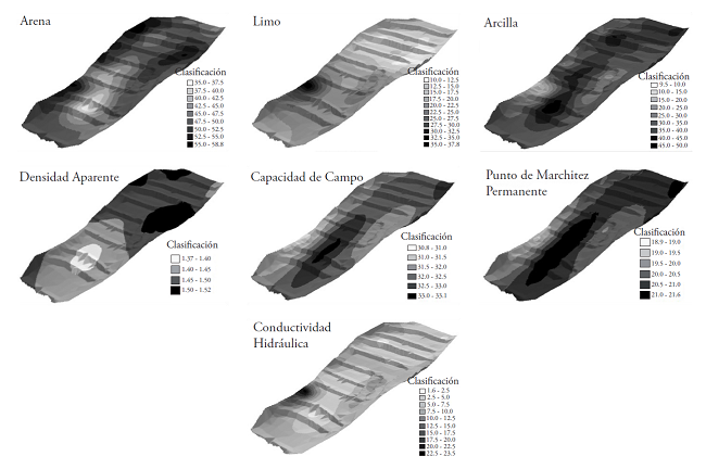 Variabilidad espacial de las propiedades f&iacute;sicas del suelo en el
								sitio de lama-bordo.
