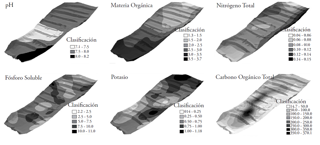 Variabilidad espacial de las propiedades qu&iacute;micas del suelo en el
								sitio de lama-bordo en Teotongo.