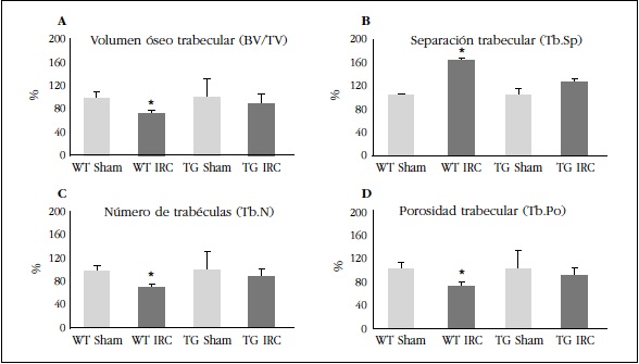 Cambios a nivel óseo; WT: ratón salvaje; TG: ratón transgénico; IRC: insuficiencia renal crónica. 