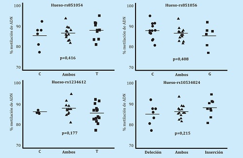 Porcentaje de metilación de ADN de hueso de la región promotora del gen SOST, en los distintos individuos (n=33) genotipados para cada uno de los 4 polimorfismos (rs851054, rs851056, rs10534024 y rs1234612). El valor de p señala el análisis de la varianza entre los distintos alelos y el valor de metilación