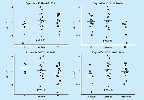 Expresión del gen SOST en hueso, de los individuos (n=33) genotipados para cada uno de los 4 polimorfismos (rs851054, rs851056, rs10534024 y rs1234612). Los niveles de expresión se calcularon por RT-qPCR, normalizados por los genes de referencia (GAPDH y TBP) y están expresados como deltaCt. El valor de p señala el análisis de la varianza entre los distintos alelos y los niveles de expresión