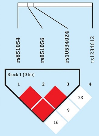 Desequilibrio de ligamiento entre los polimorfismos analizados. Los númerosrepresentan los valores de distancia D, que pueden variar entre 0 y 1. En la figura se representan los valores multiplicados por 100. En el caso de los cuadros de color el valor es de 1