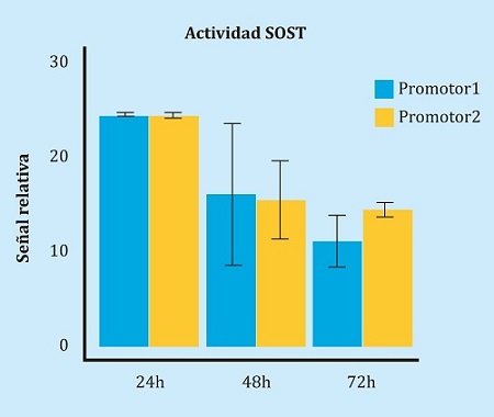 Medición de la actividad del promotor de SOST con transfecciones de los distintos reporteros (promotor 1 y promotor 2). Cada uno de los reporteros tiene el haplotipo contrario para los polimorfismos (rs851054, rs851056 y rs851057). La señal relativa se ha calculado normalizando cada valor de absorbancia de luciferasa por el cociente de la actividad fosfatasa alcalina (SEAP). Posteriormente se ha comparado con el cociente de las transfecciones realizadas con un vector vacío (sin el promotor, pero con actividad SEAP). Las barras de error muestran el error estándar