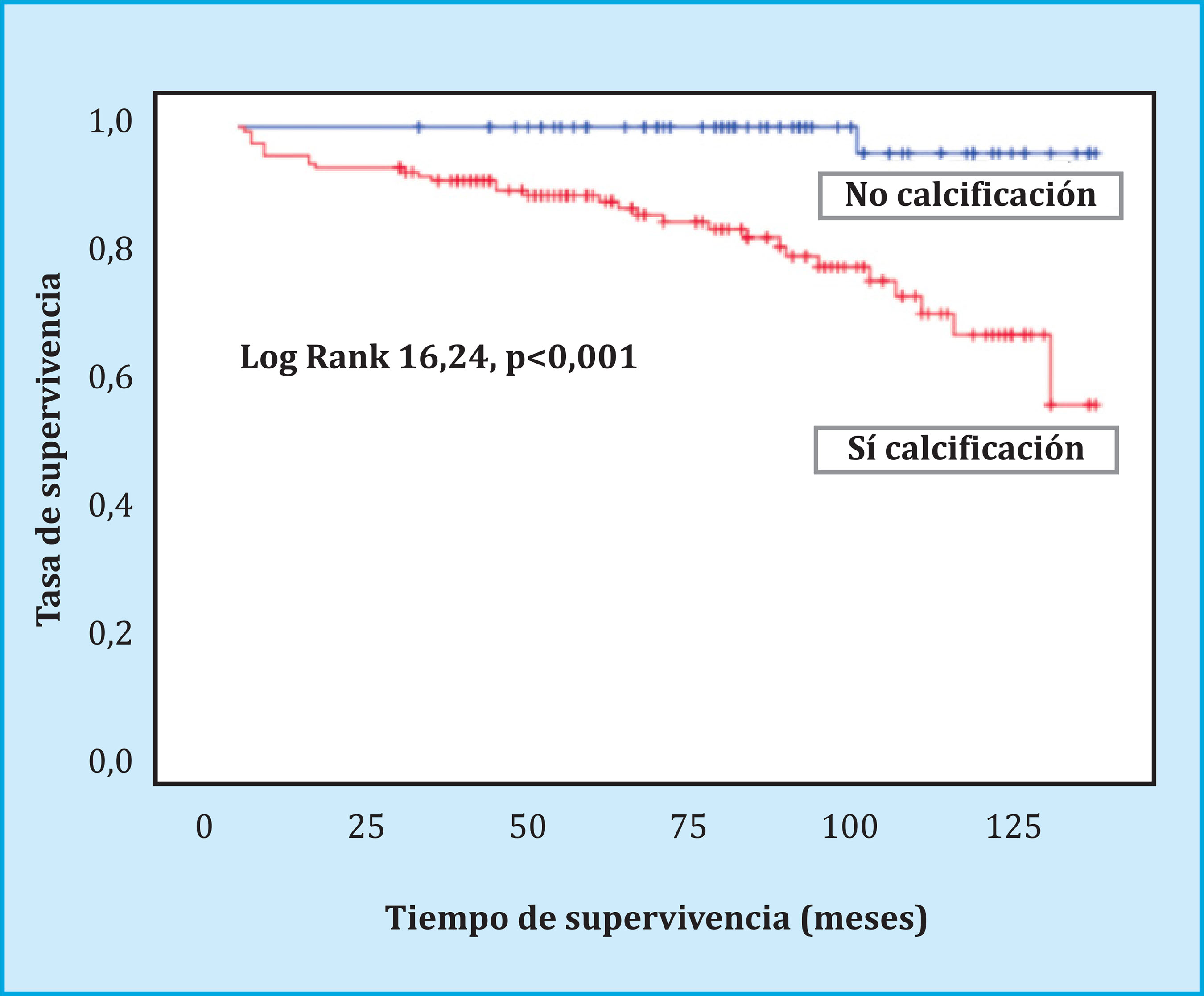 Supervivencia global del paciente trasplantado renal en base a la existencia de calcifación vascular radiológica