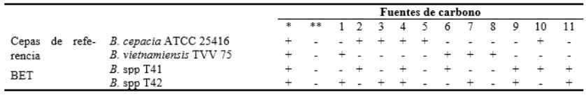 Asimilaci&oacute;n de diferentes fuentes de carbono org&aacute;nico por Burkholderia spp end&oacute;fita de Zea mays var mexicana (teocintle o BET)