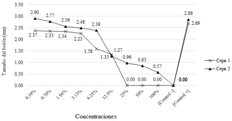 Promedio del tamaño de los botones de crecimiento de C. albicans en milímetros (mm) frente a la actividad del veneno de H. charcasus y controles positivo y negativo