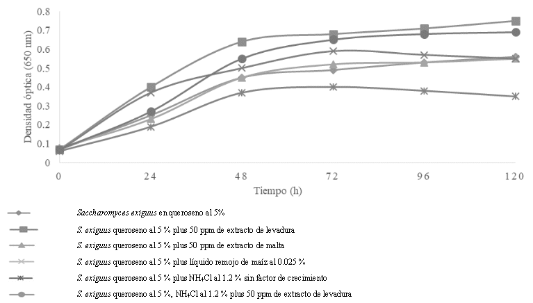 Medicin indirecta de la capacidad de S. exiguus para utilizar el queroseno al 5 %, como fuente de carbono y energa NH4Cl al 1.2 % con diversos estimuladores o factores de crecimiento