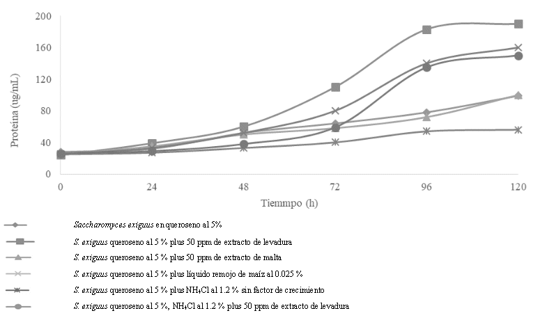 Concentracin de protena de S. exiguus cuando utilizo del queroseno al 5 %, como fuente de carbono y energa NH4Cl al 1.2 % con diferentes factores o estimuladores de crecimiento