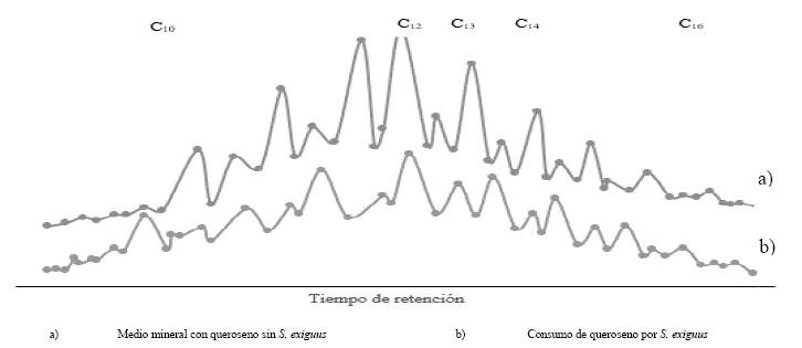 Anlisis de la utilizacin por S. exiguus de los hidrocarburos del queroseno al 5 %, como fuente de carbono y energa, el NH4Cl al 1.2 % y el extracto de levadura a 30C/200 rpm