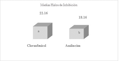 Medias obtenidas al promediarse los halos de inhibicin de las seis rplicas de antibiticos amikacina y cloranfenicol, luego de las lecturas