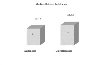 Medias obtenidas al promediarse los halos de inhibicin de las seis rplicas de antibiticos amikacina y ciprofloxacino, luego de las lecturas