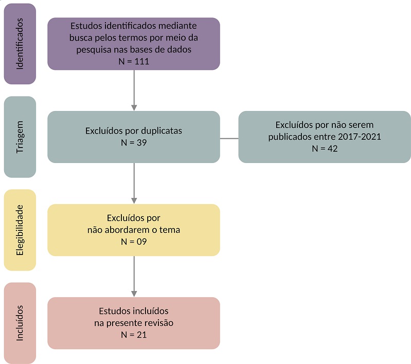 Fluxograma da revis&atilde;o de literatura
