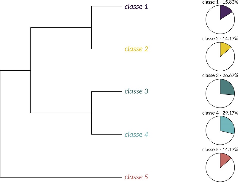 Classificação hierárquica descendente do léxico de 16 termos de assentimento