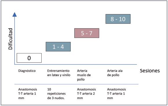 Protocolo de entrenamiento microquirúrgico.